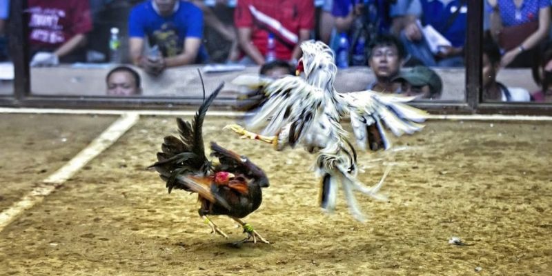 33win99 ﻿đăng nhập lô đề uy tín