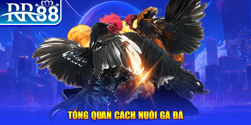 33win99 xổ số thứ ba