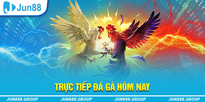 33win99 trực tiếp đá gà thomo