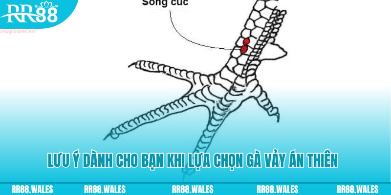 33win99 xổ số khánh hòa
