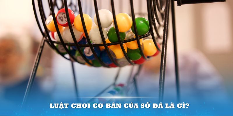33win99 Đĩa màu ace