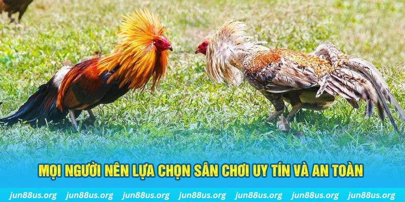 33win99 Tài Xỉu