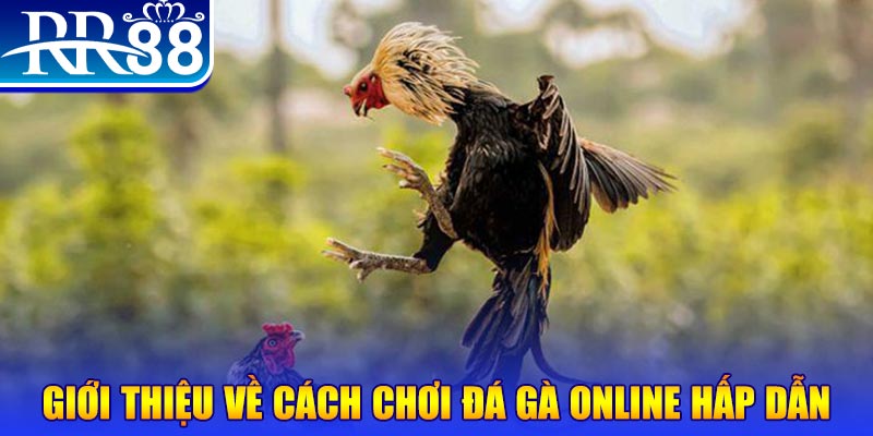 33win99 what is a video slot