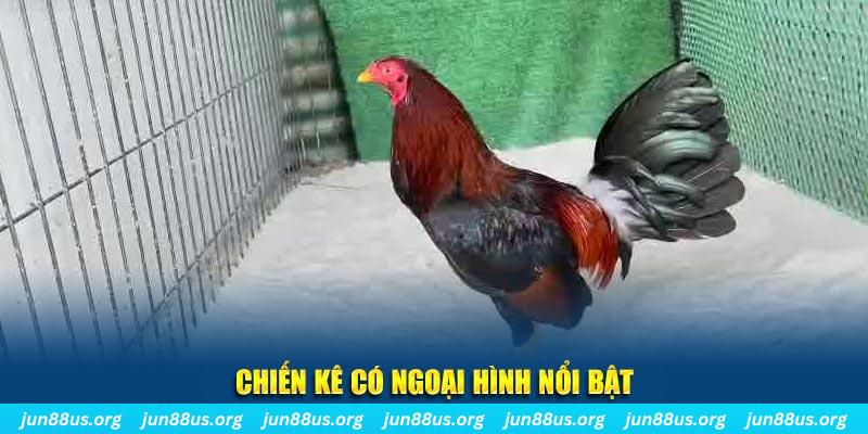 33win99 nhạc slot là gì